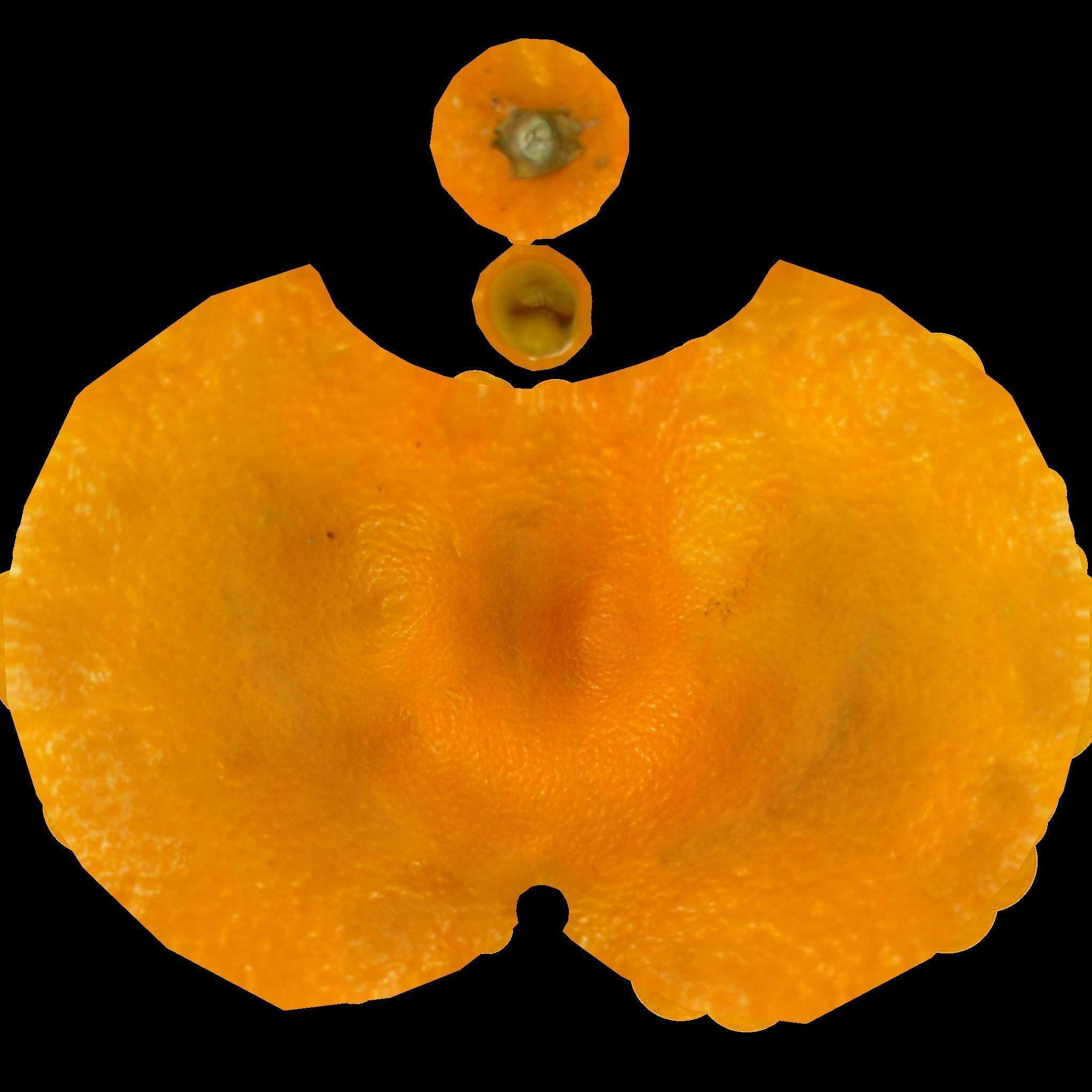 Orange lemon Low-poly 3D model_7