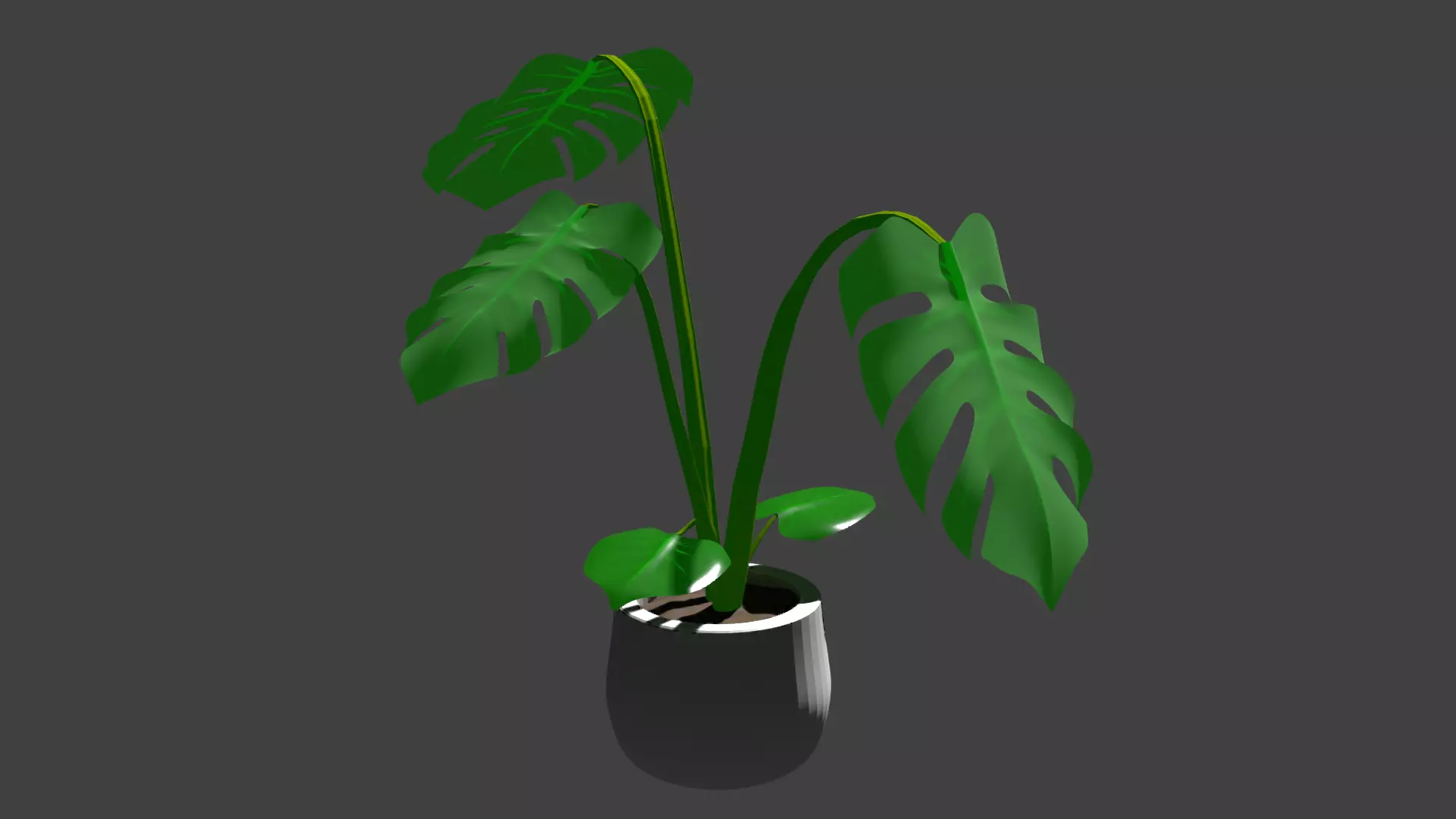 Monstera plant Free 3D model_0