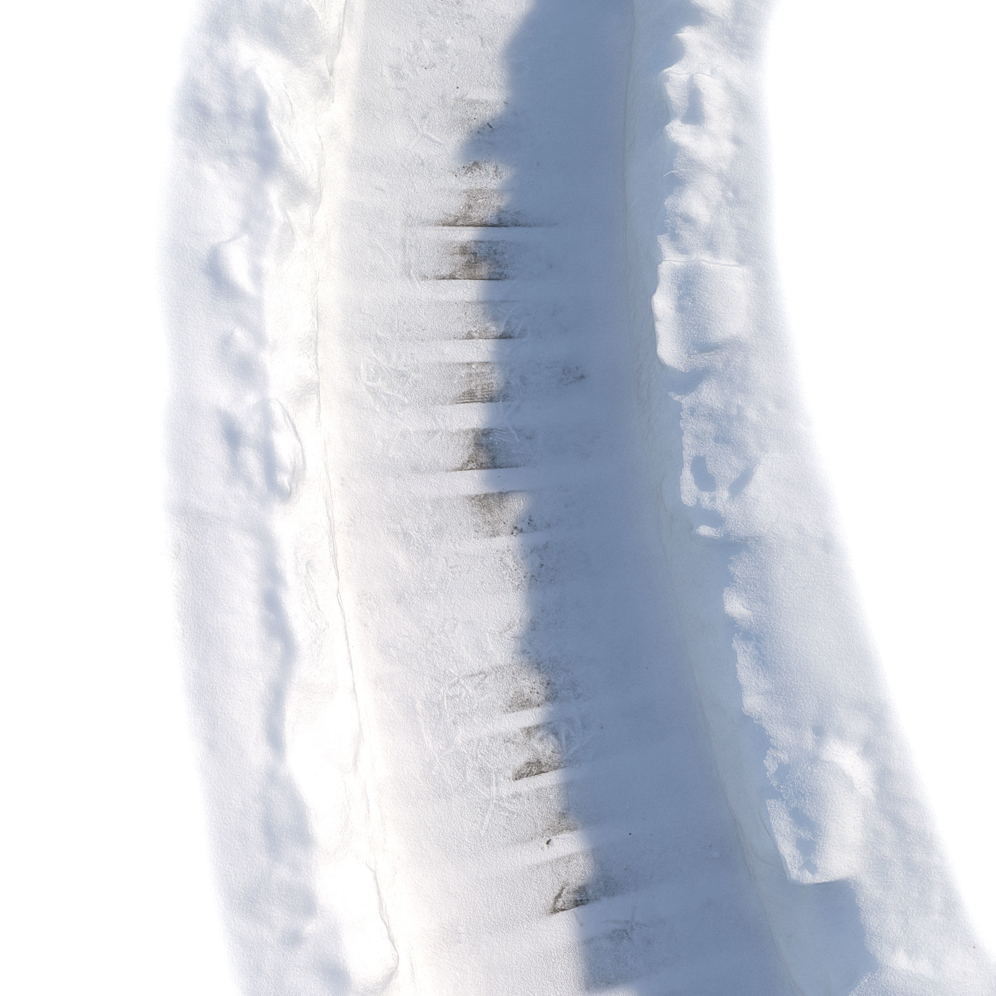 Ultra realistic Winter footpath 2 2021Hq Scan  Low-poly 3D model_3