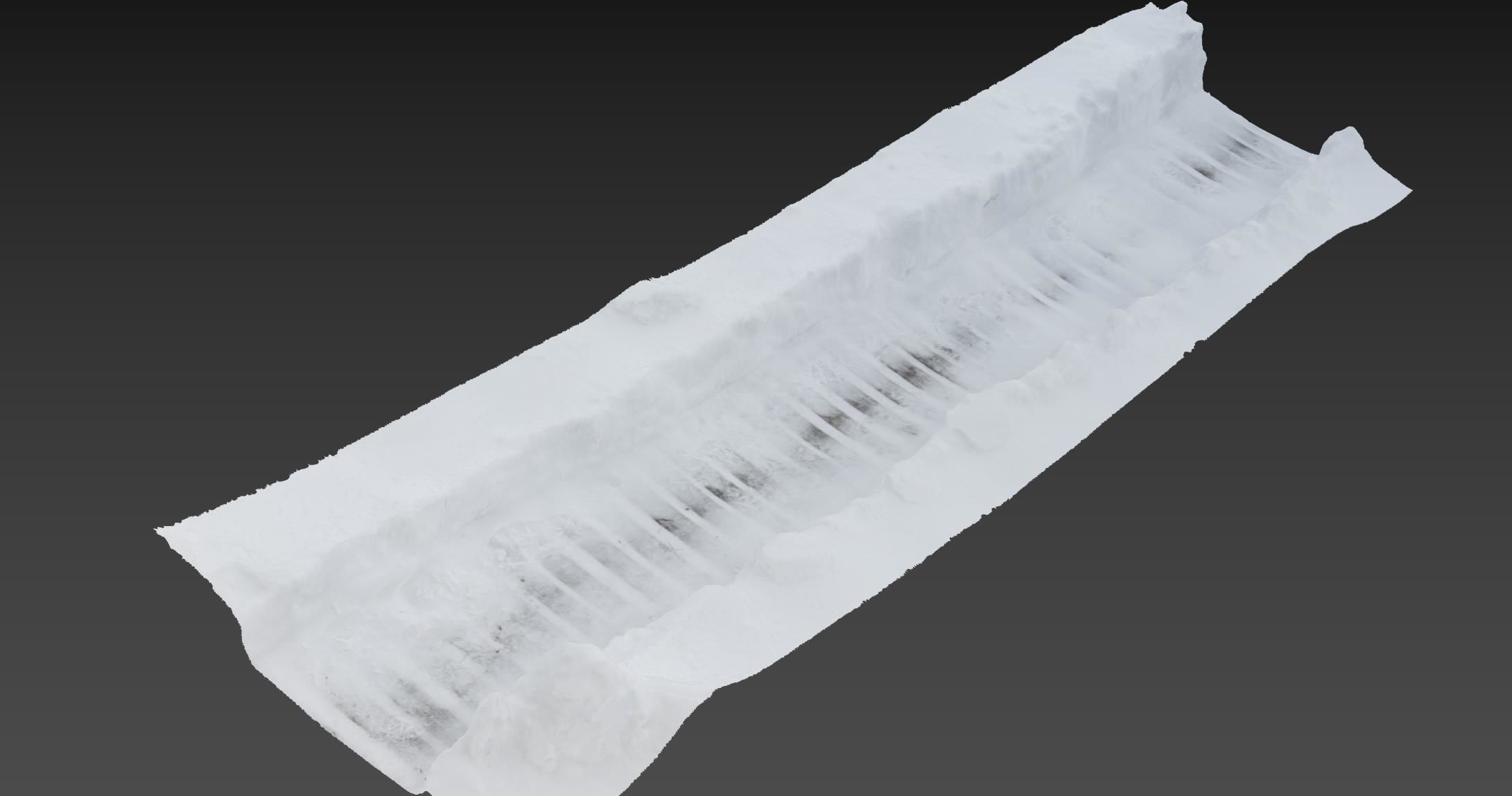 Ultra realistic Winter footpath 2 2021Hq Scan  Low-poly 3D model_7