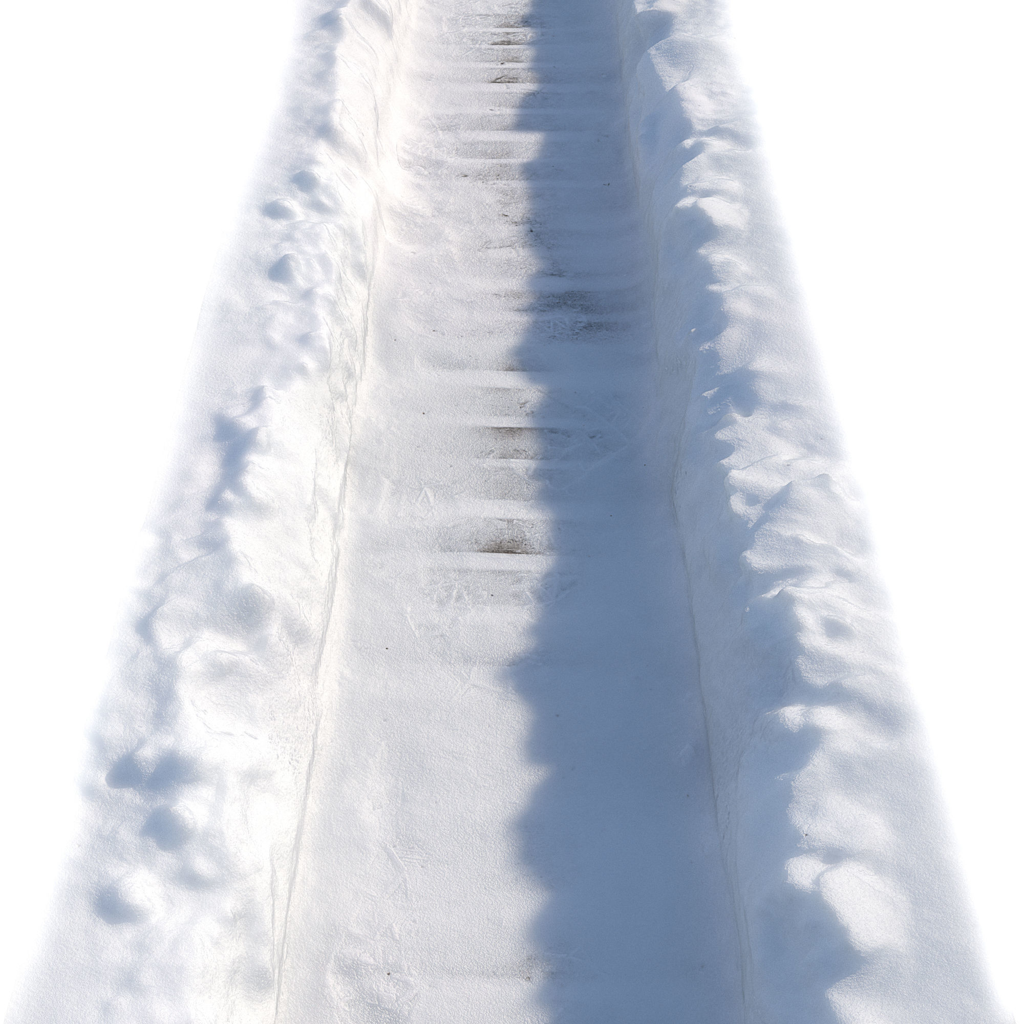Ultra realistic Winter footpath 2 2021Hq Scan  Low-poly 3D model_1