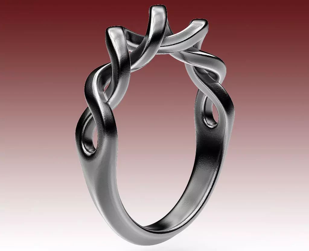 Ring Perpetuum Mobile 3D print model_0