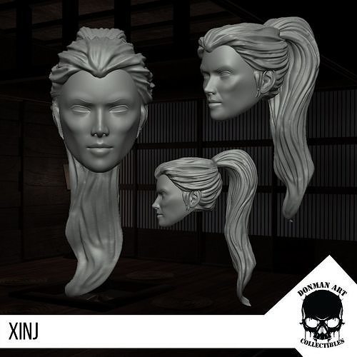 Xinj Head for 6 inch action figures 3D print model