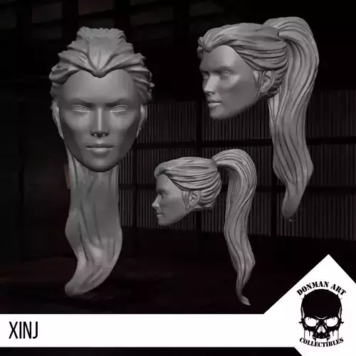Xinj Head for 6 inch action figures 3D print model