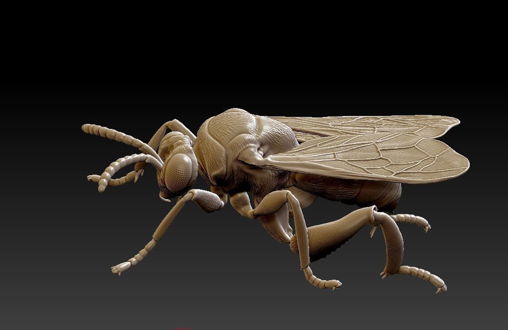 Honey bee 3D model 3D printable | CGTrader