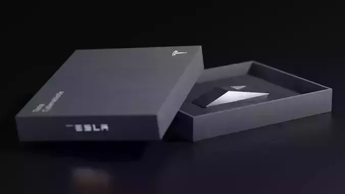 Tesla Cyberwhistle 3D model