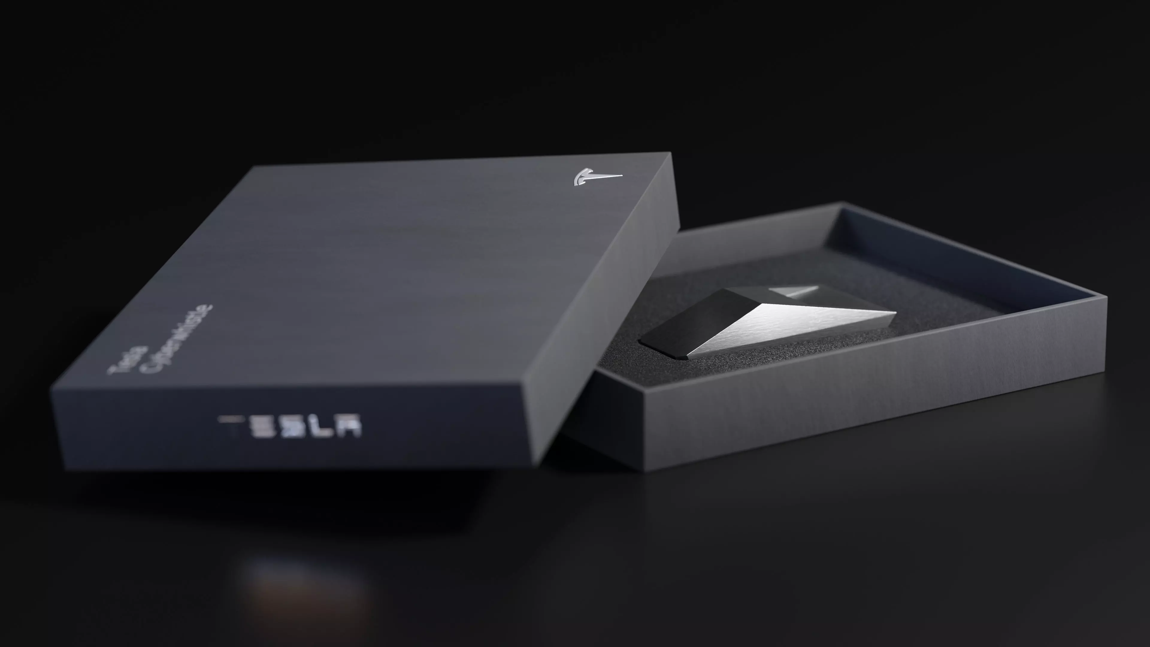 Tesla Cyberwhistle 3D model_0