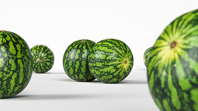 Watermelon 3D model 2