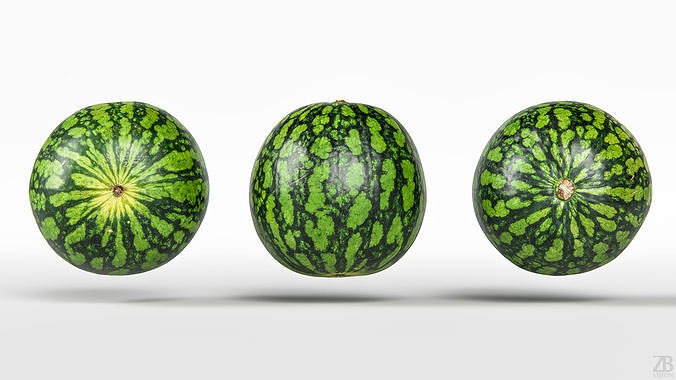 Watermelon 3D model 5