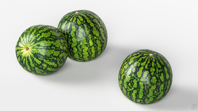 Watermelon 3D model 3