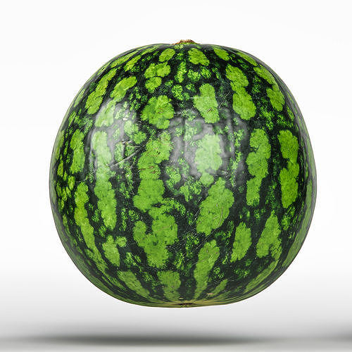 Watermelon 3D model 7