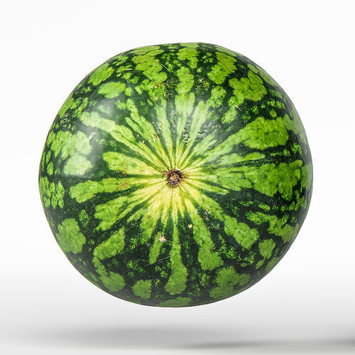 Watermelon 3D model 6