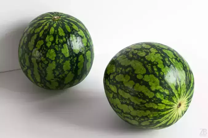 Watermelon 3D model