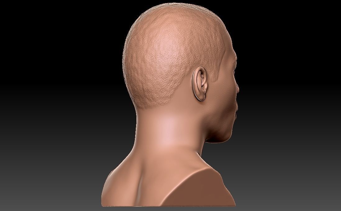 Nelly bust for 3D printing 3D print model_13