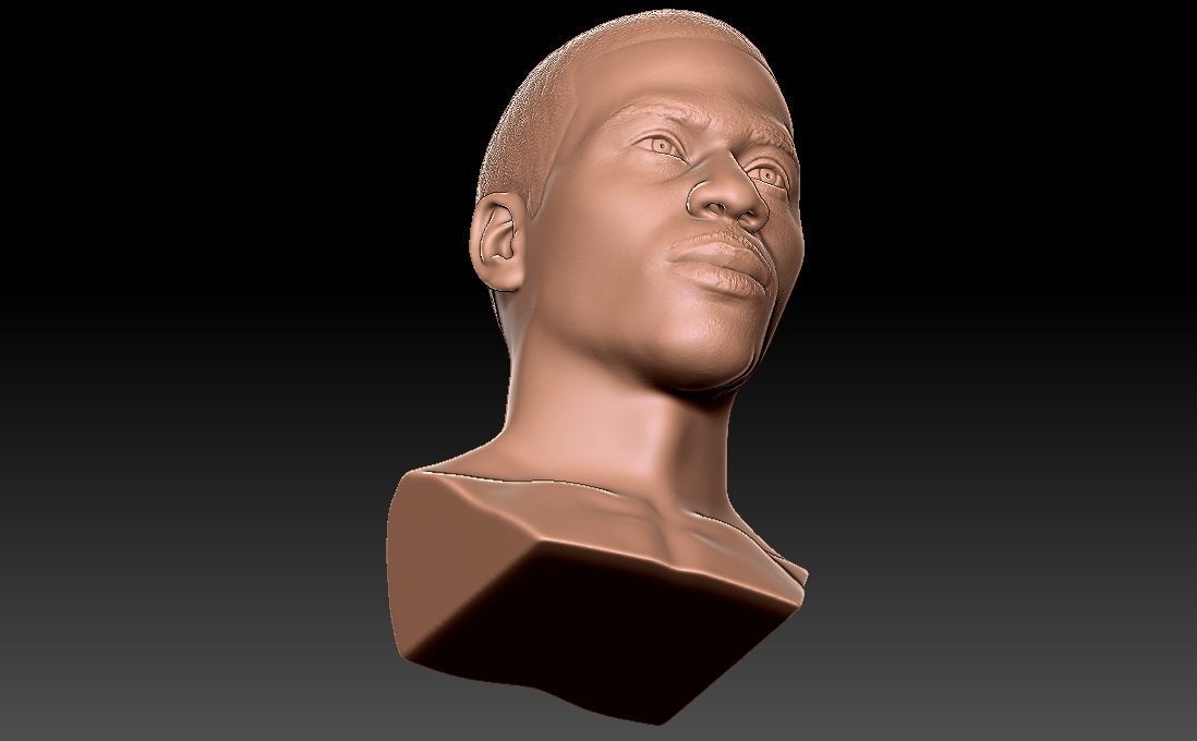 Nelly bust for 3D printing 3D print model_28