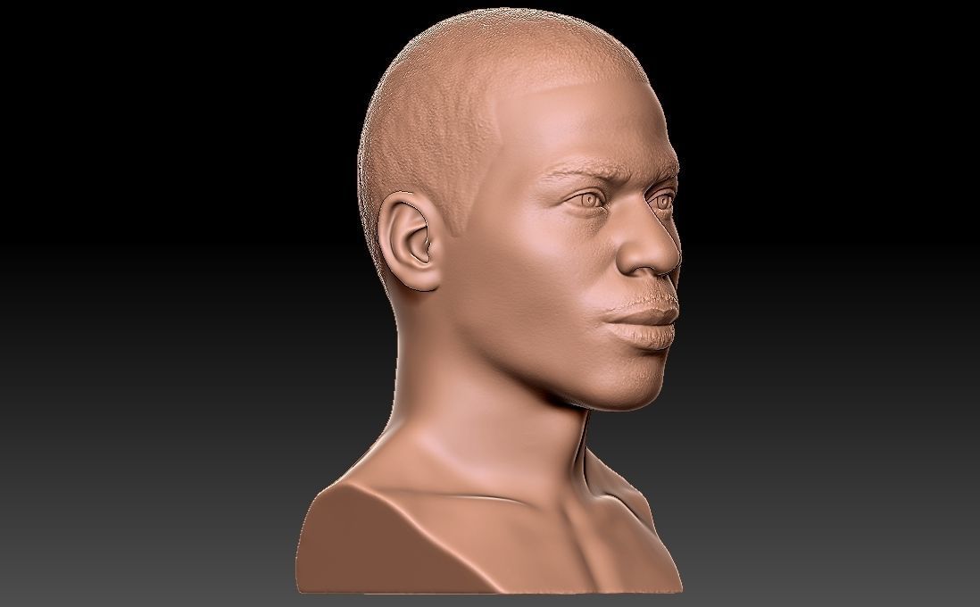 Nelly bust for 3D printing 3D print model_15