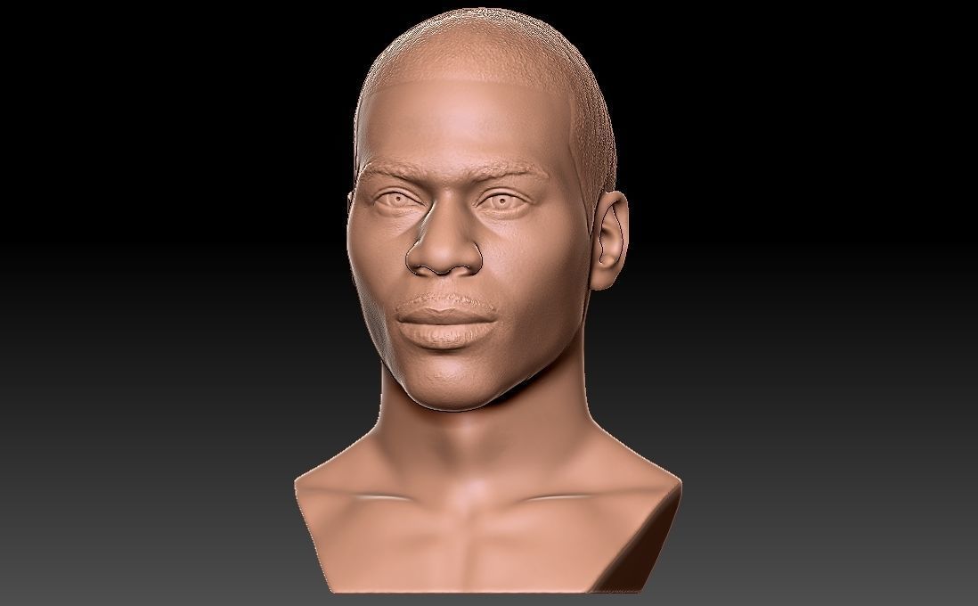 Nelly bust for 3D printing 3D print model_6