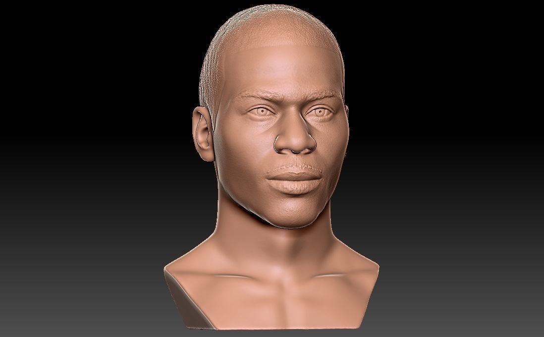 Nelly bust for 3D printing 3D print model_17