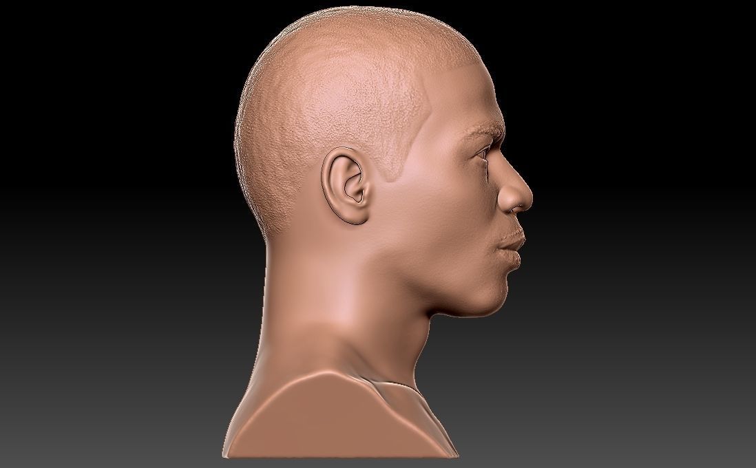 Nelly bust for 3D printing 3D print model_14