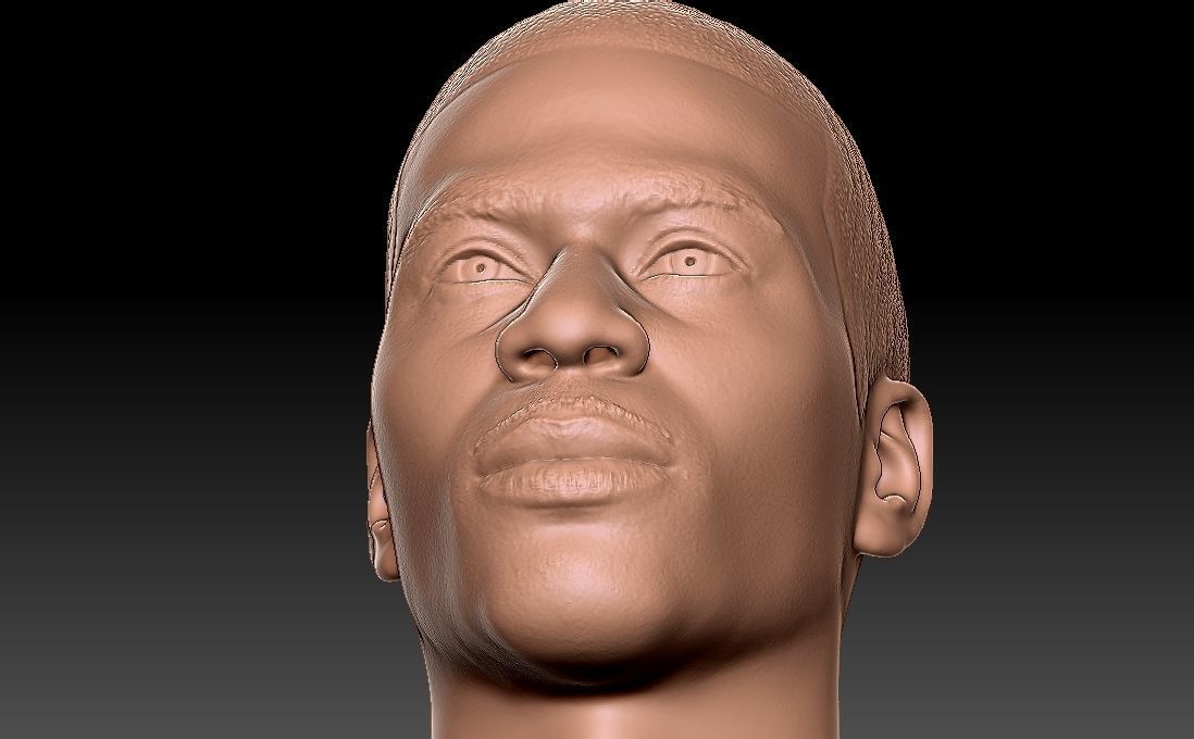 Nelly bust for 3D printing 3D print model_23