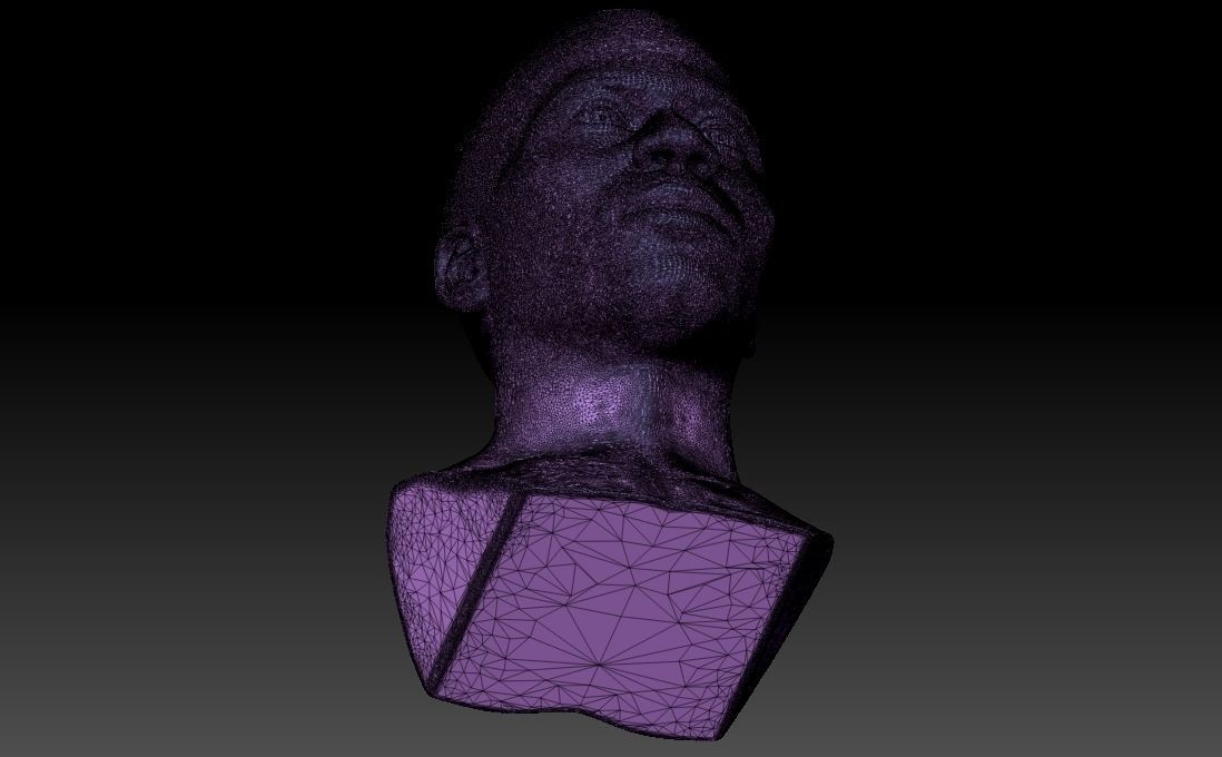 Nelly bust for 3D printing 3D print model_34