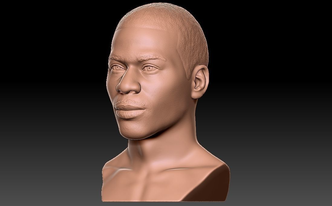 Nelly bust for 3D printing 3D print model_7