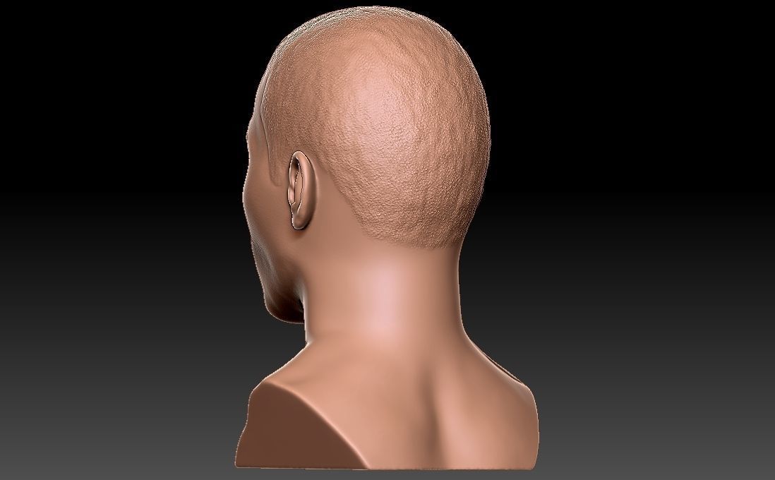 Nelly bust for 3D printing 3D print model_11