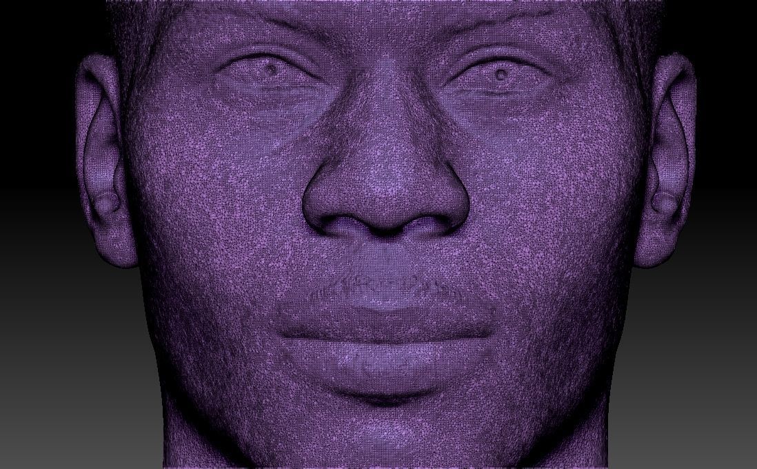 Nelly bust for 3D printing 3D print model_33