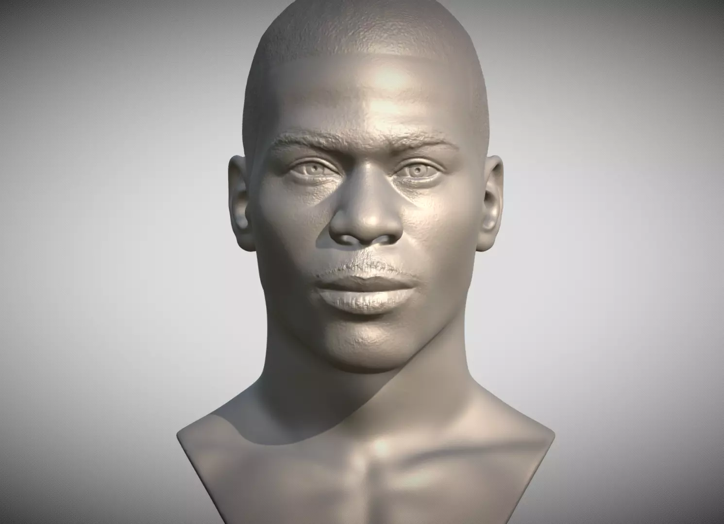 Nelly bust for 3D printing 3D print model_0