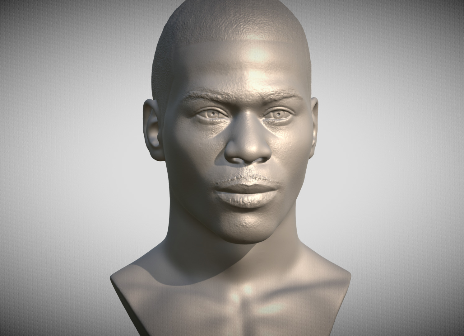 Nelly bust for 3D printing 3D print model_2