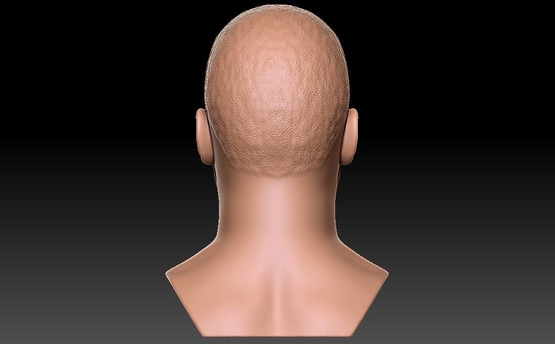 Nelly bust for 3D printing 3D print model_12