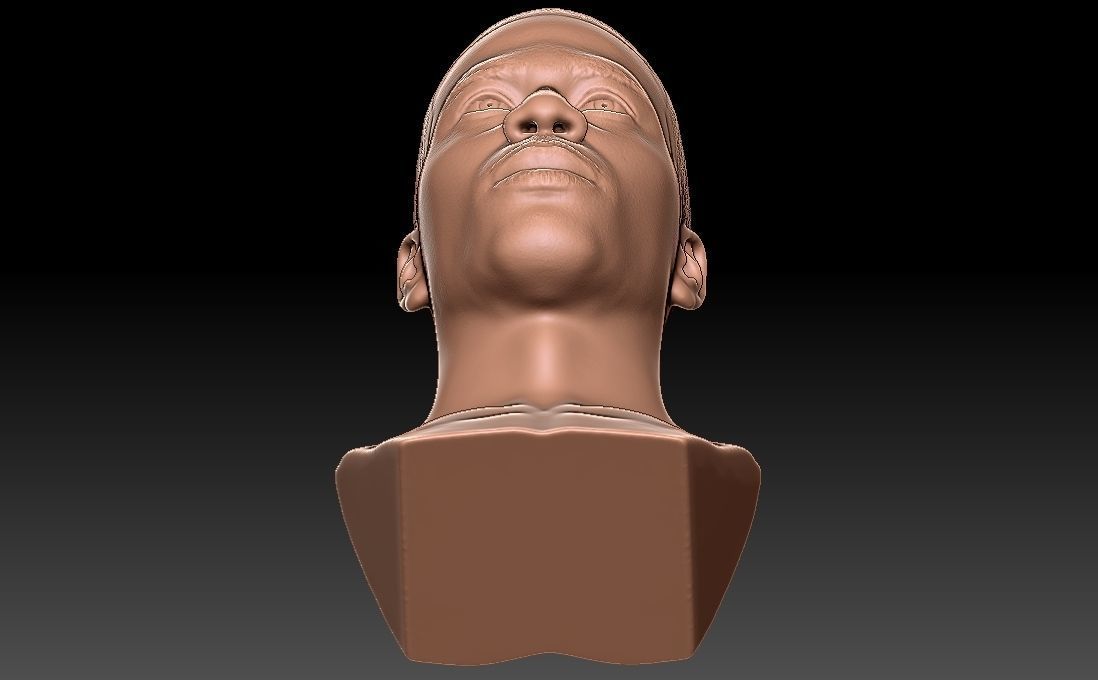 Nelly bust for 3D printing 3D print model_29