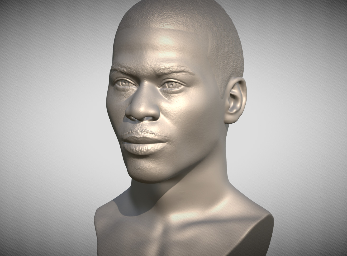 Nelly bust for 3D printing 3D print model_1