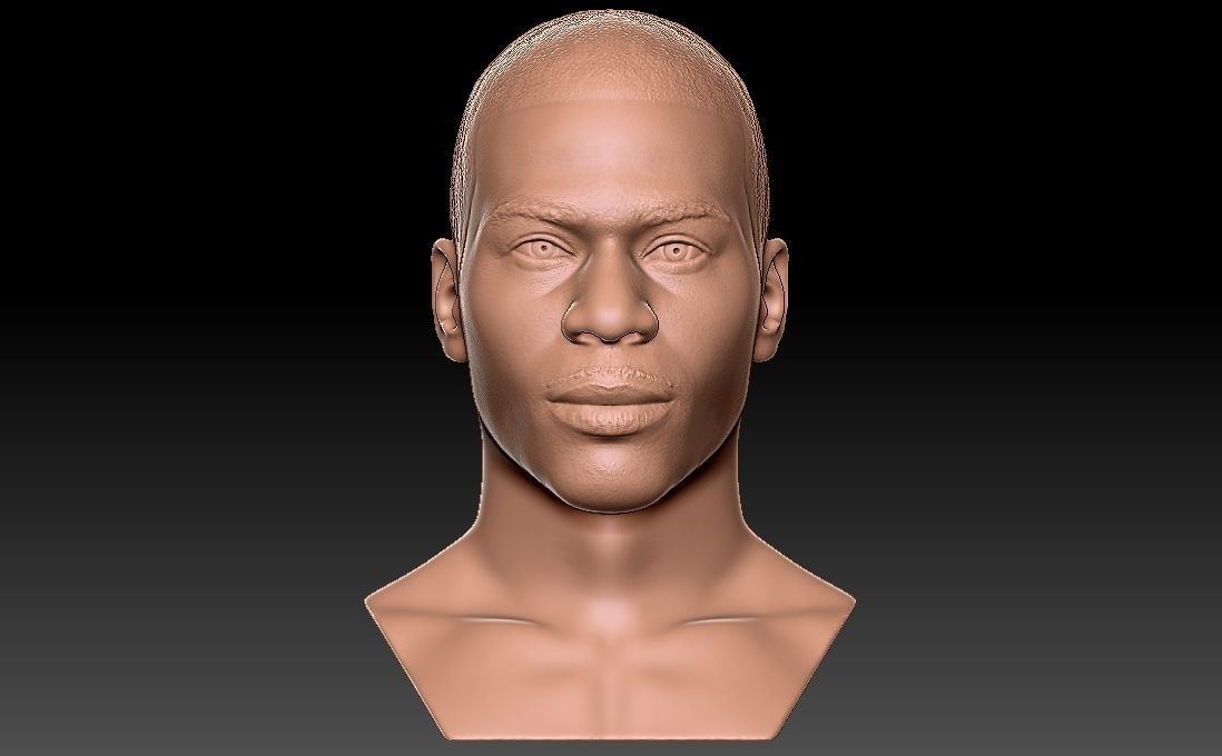 Nelly bust for 3D printing 3D print model_5