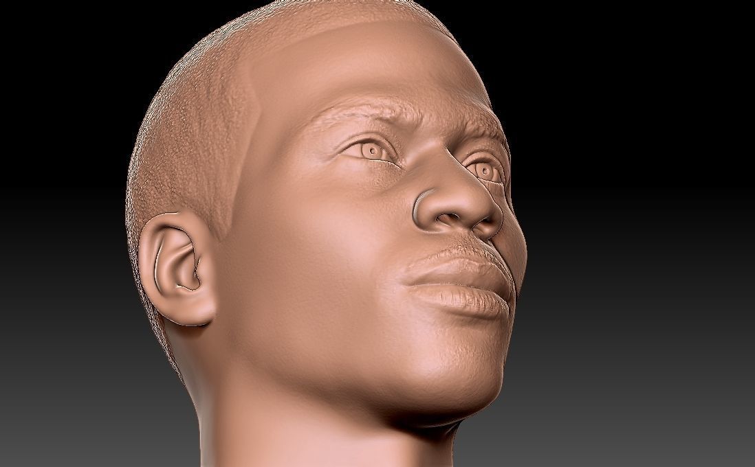 Nelly bust for 3D printing 3D print model_24