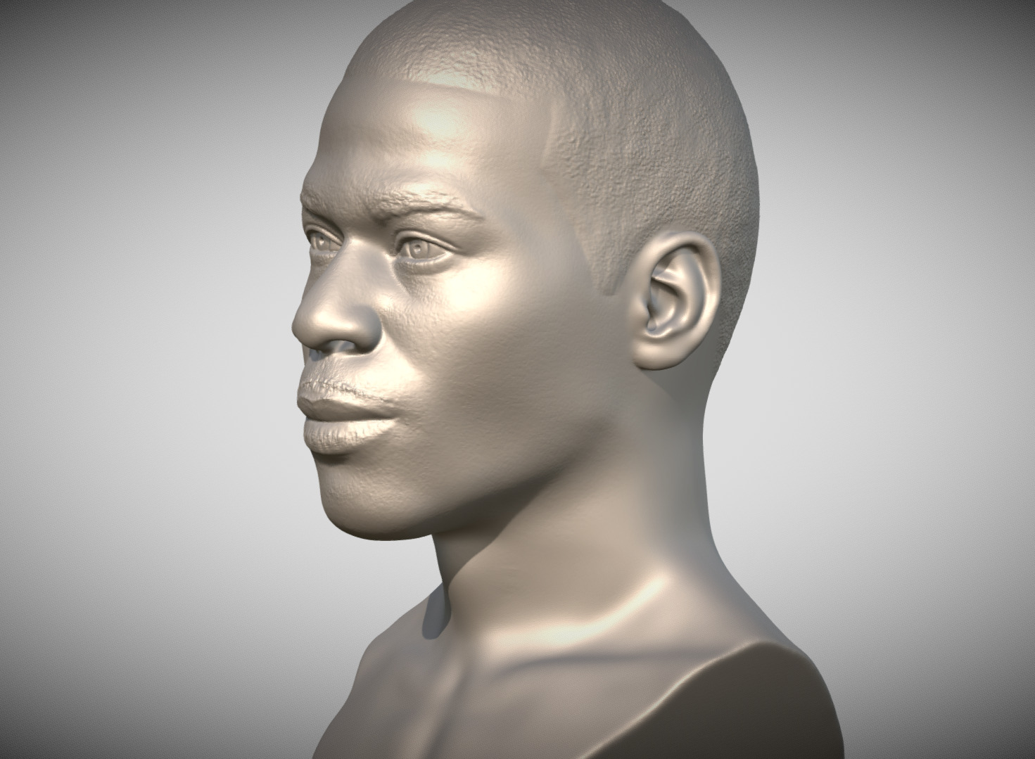 Nelly bust for 3D printing 3D print model_4