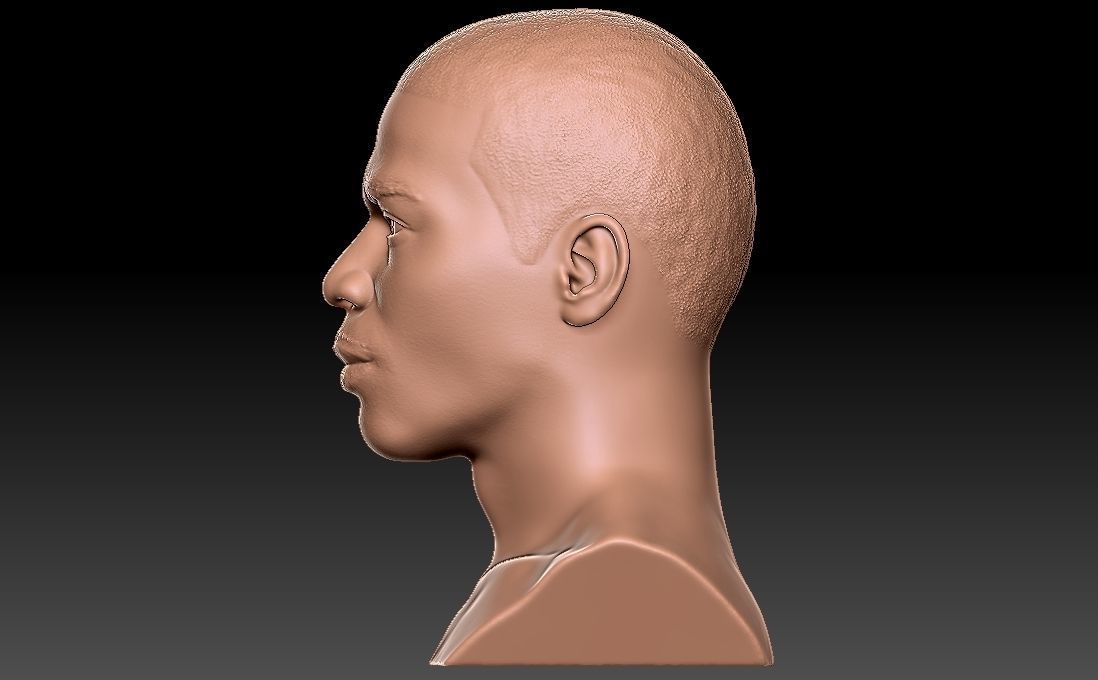 Nelly bust for 3D printing 3D print model_10