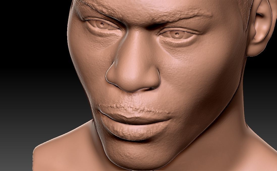 Nelly bust for 3D printing 3D print model_22