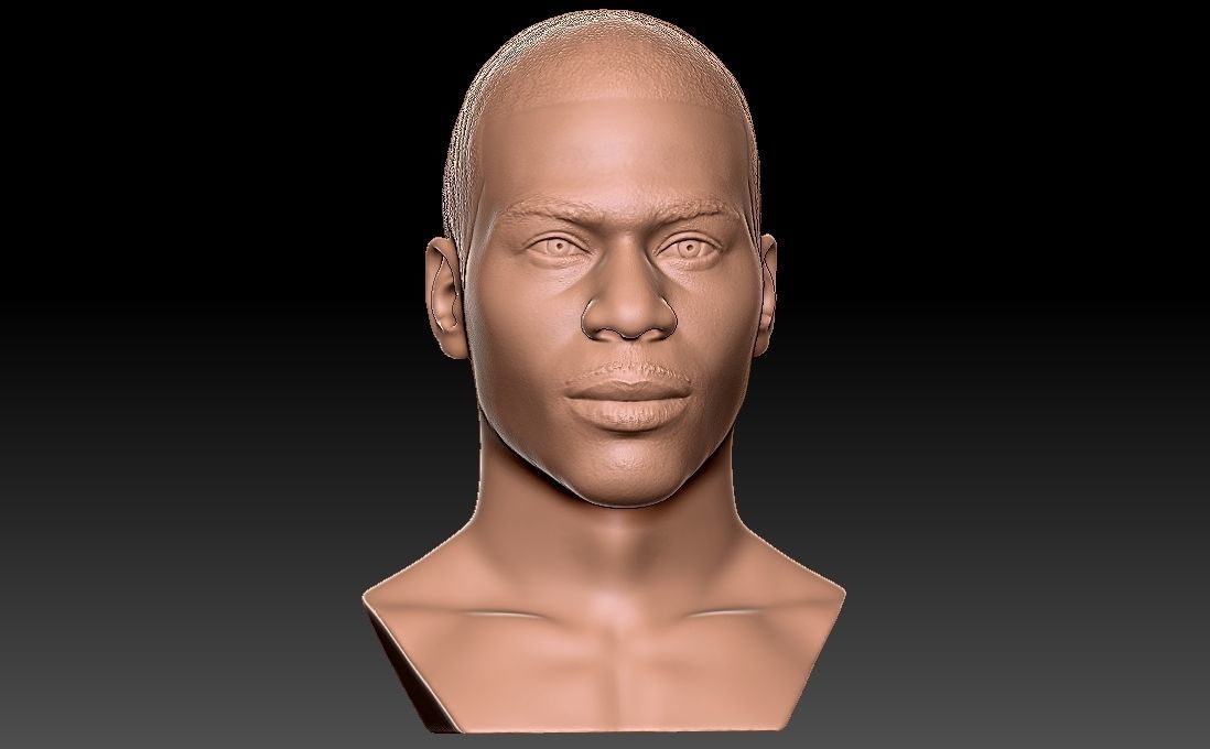 Nelly bust for 3D printing 3D print model_18