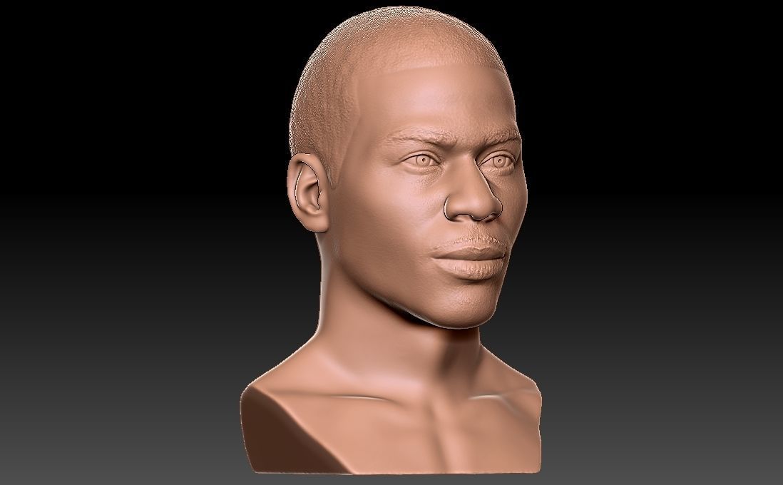 Nelly bust for 3D printing 3D print model_16
