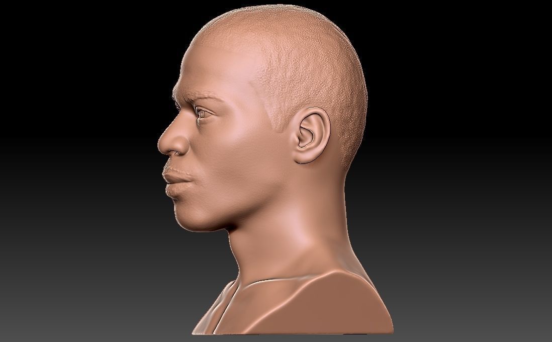 Nelly bust for 3D printing 3D print model_9