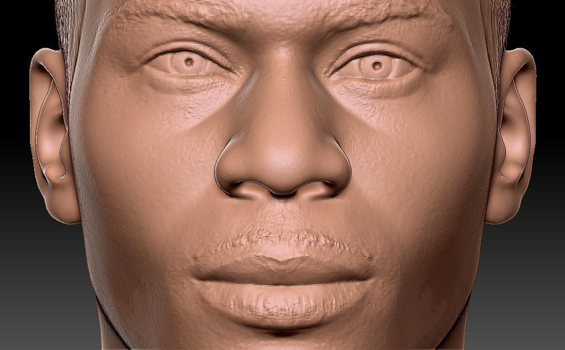 Nelly bust for 3D printing 3D print model_19