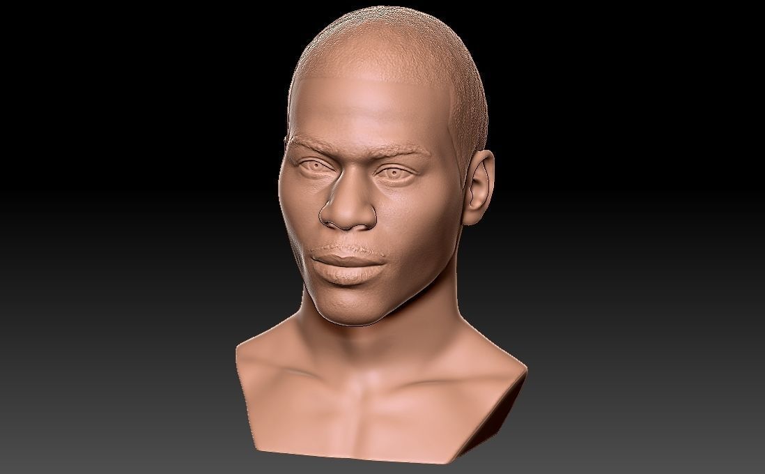 Nelly bust for 3D printing 3D print model_26
