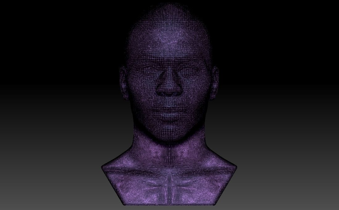 Nelly bust for 3D printing 3D print model_31