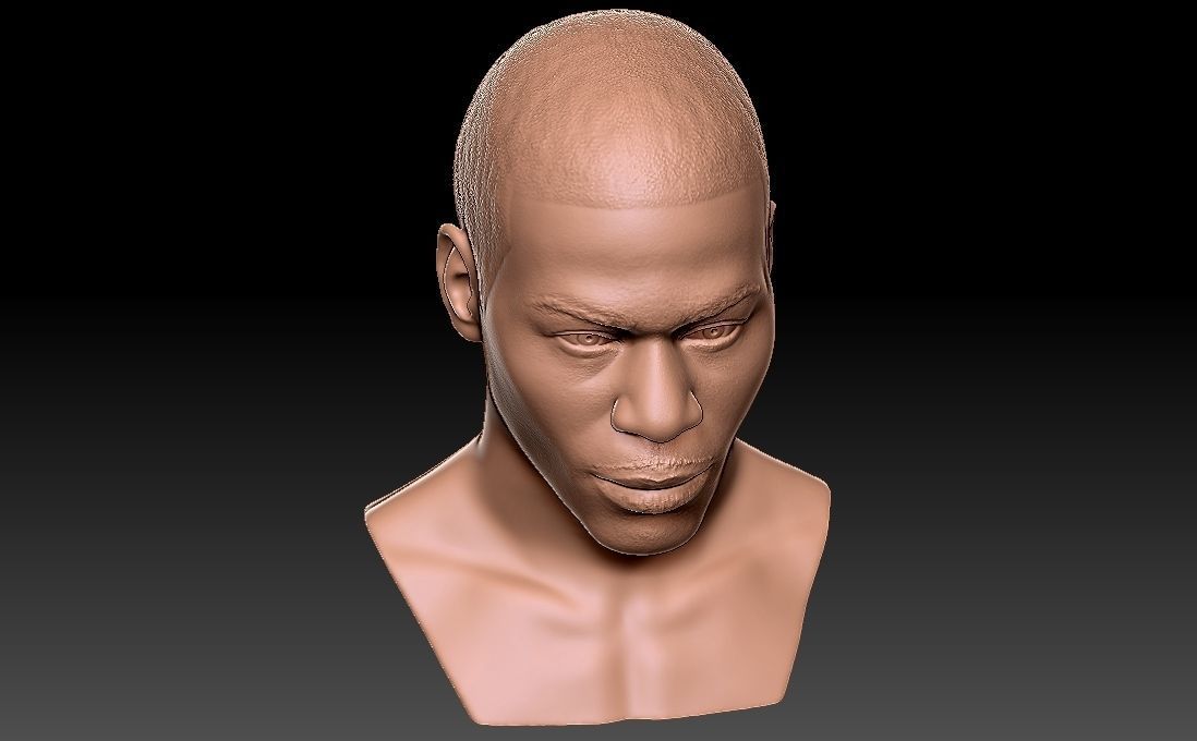 Nelly bust for 3D printing 3D print model_27