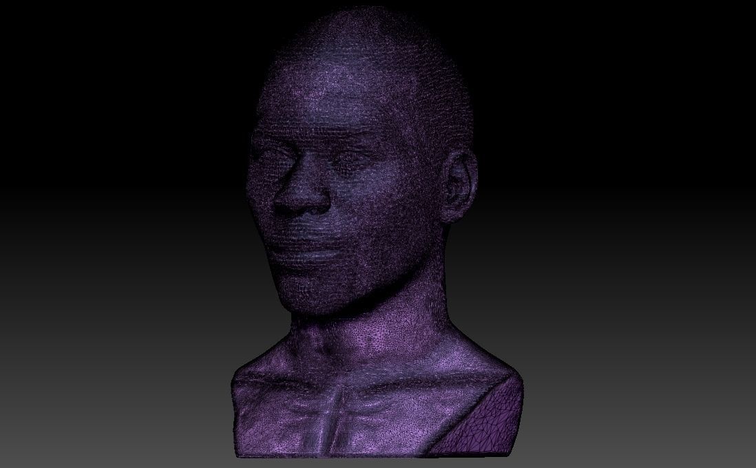 Nelly bust for 3D printing 3D print model_32