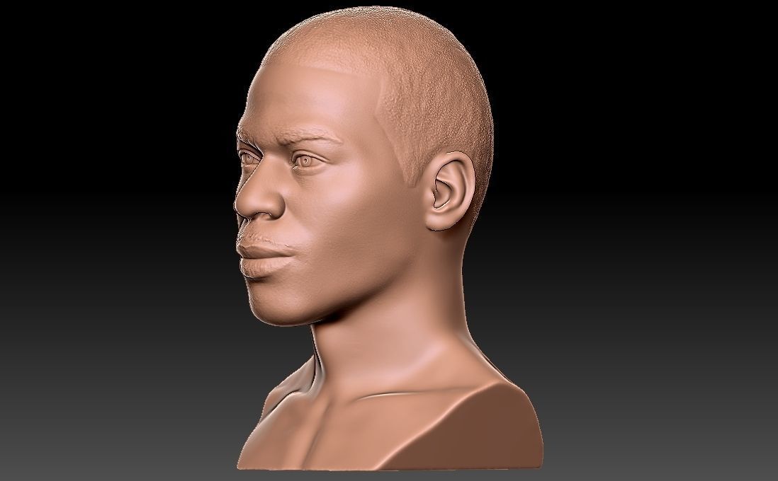 Nelly bust for 3D printing 3D print model_8
