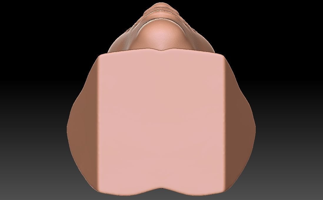 Nelly bust for 3D printing 3D print model_30