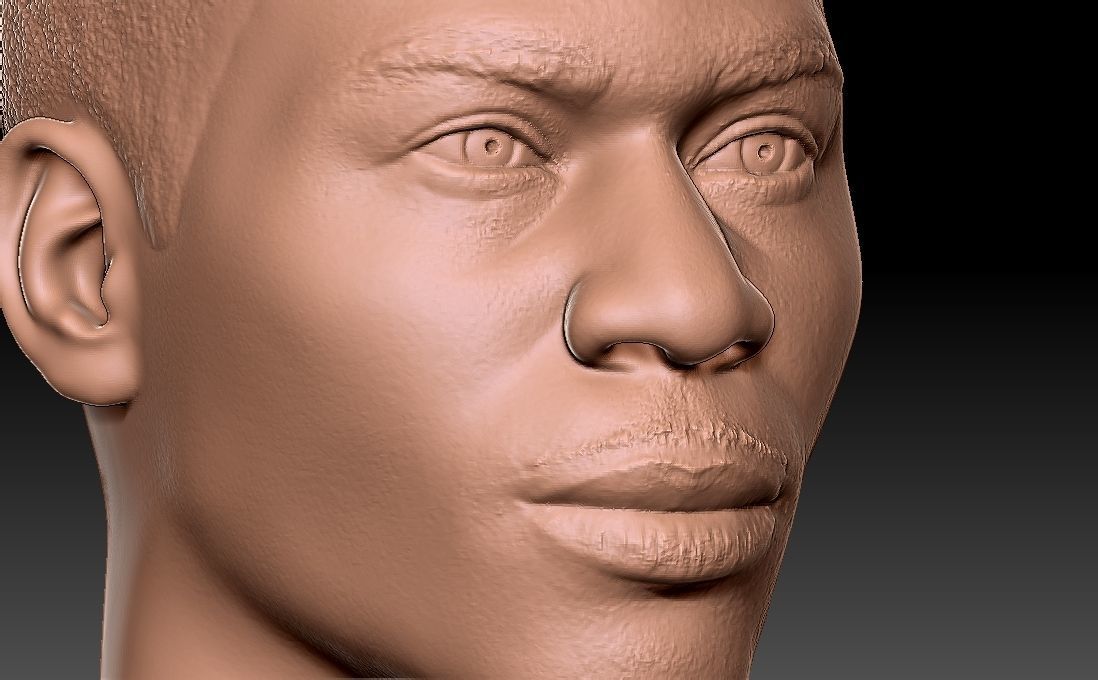 Nelly bust for 3D printing 3D print model_20