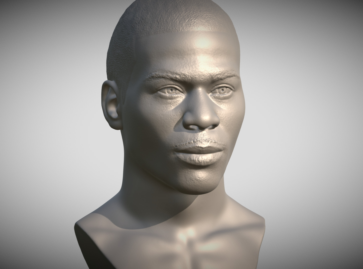 Nelly bust for 3D printing 3D print model_3